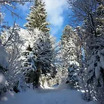 Apartma Lip Appartamento