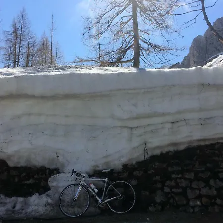 Apartma Lip アパート