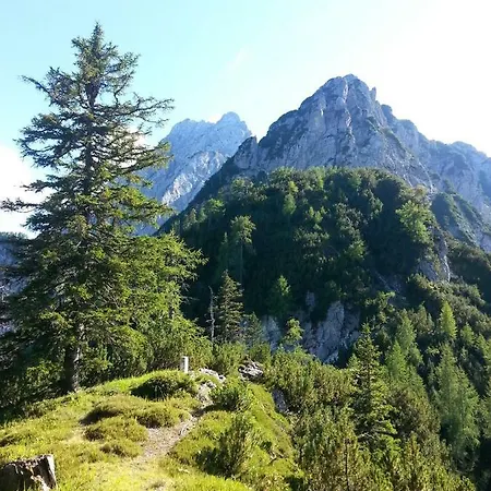 Апартаменты Apartma Lip *