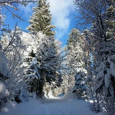 Apartma Lip アパート