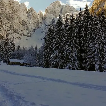 Апартаменты Apartma Lip