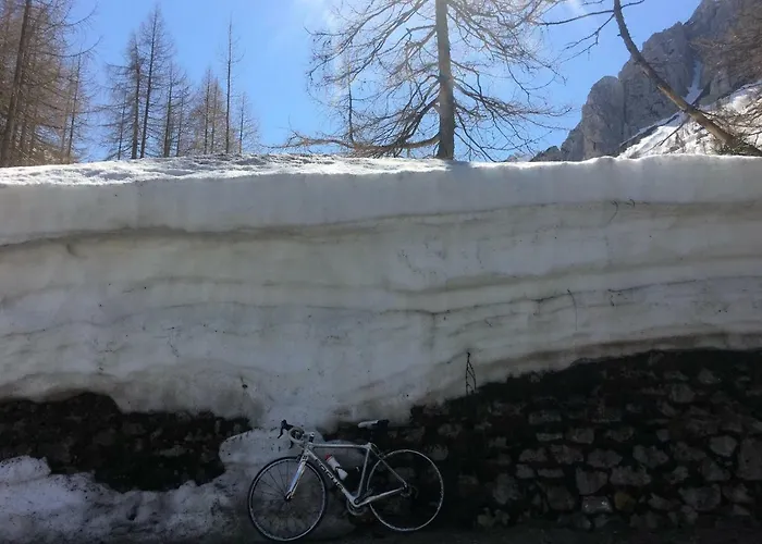 Apartma Lip Apartman