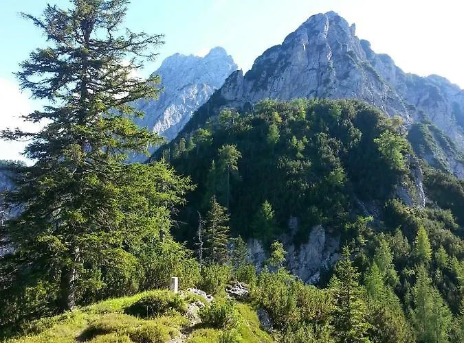 Apartman Apartma Lip *