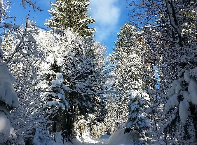 Apartma Lip Apartman