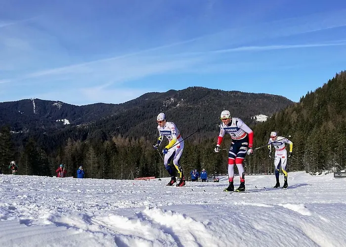 Lejlighed Apartma Lip *